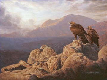 Vogel Werke - Adler aguilas Reales Vögel